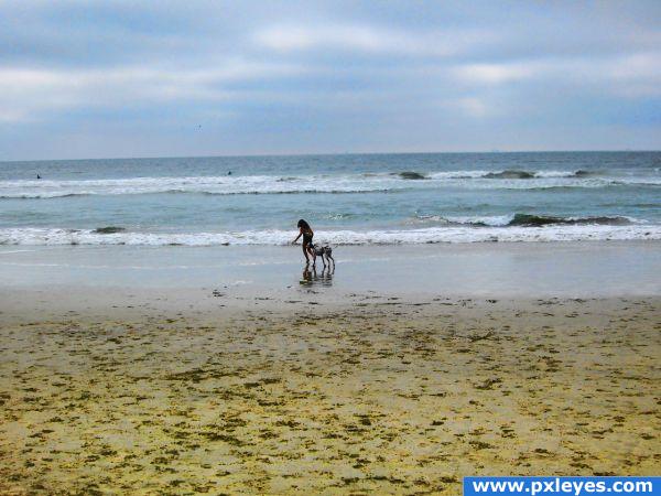 Child and pet on the beach